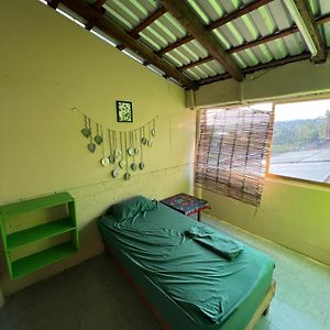 Habitación Doble Estándar